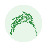 緑色の稲穂のアイコン。淡い緑色の円形背景に配置されている。