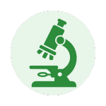 緑色の顕微鏡のアイコン。淡い緑色の円形背景に配置されている。