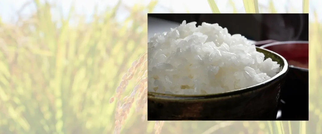 炊き立ての白いご飯が茶碗に盛られたクローズアップ写真と、背景にぼかされた黄金色の稲穂を組み合わせた構成。ふっくらと艶やかに炊き上がった米粒の質感が際立つ、田んぼから食卓までの繋がりを表現した画像。